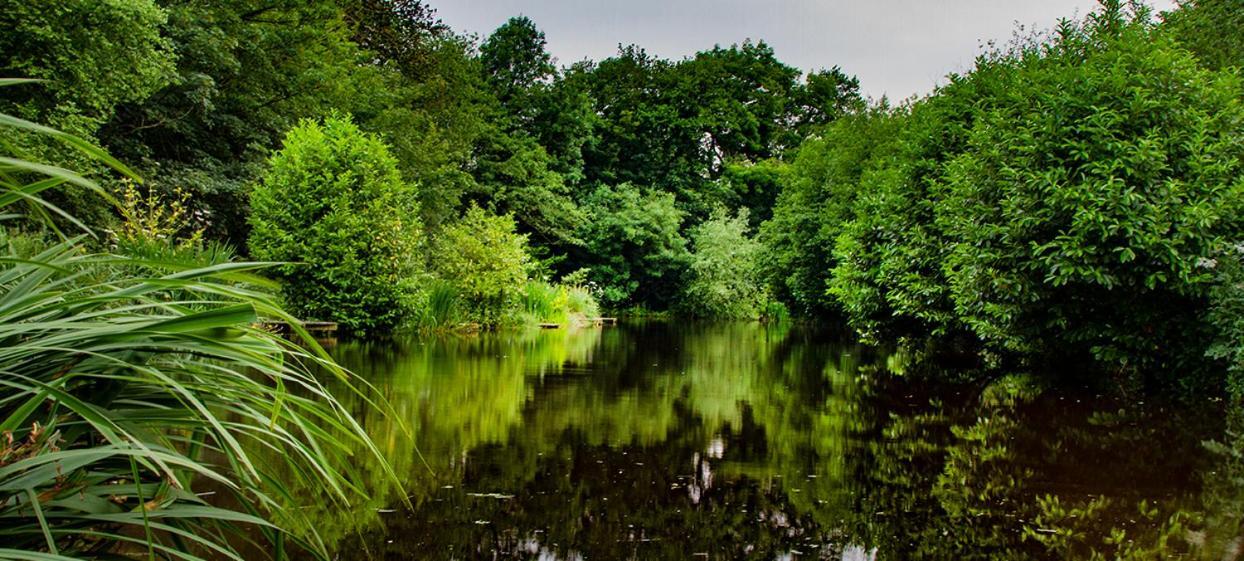 Lloyds Meadow Glamping Hotel Chester Eksteriør billede